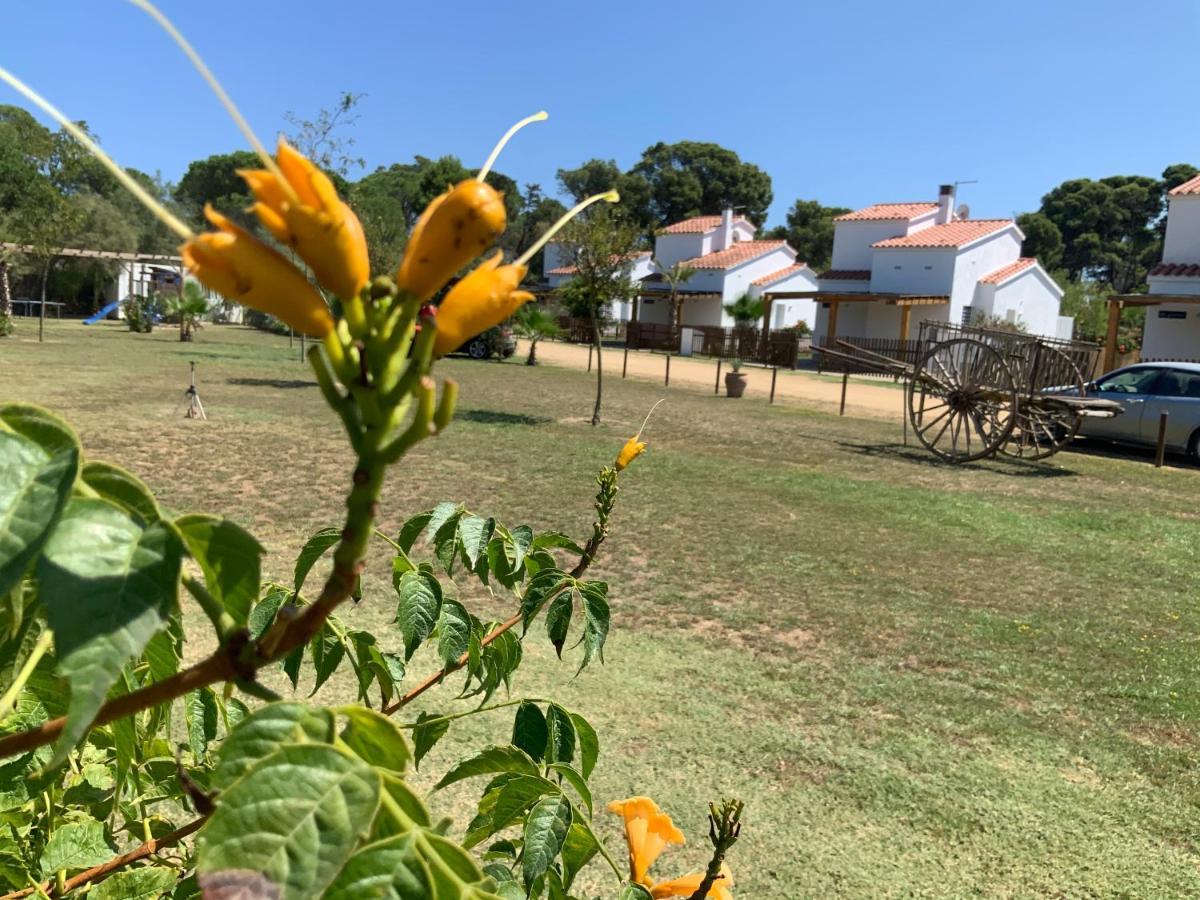 Villas Empuries, Garden & Private Pool Sant Martí d’Empuries Εξωτερικό φωτογραφία